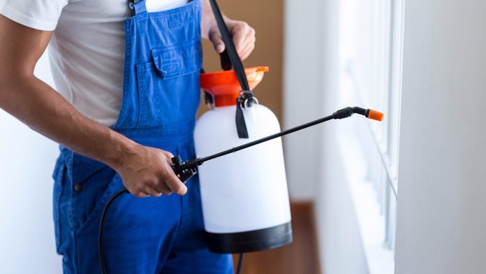 Why Do You Need Pest Control Services