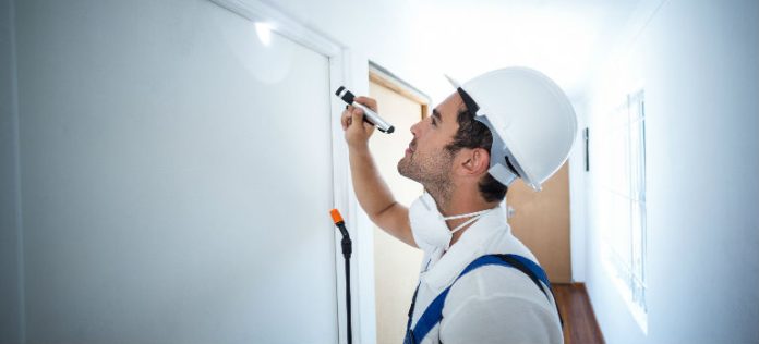 The Most Important Factors Of The Pest Control Service