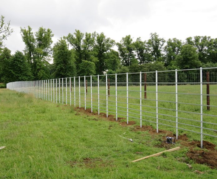 126344_1570790653861_PF Deer Fencing