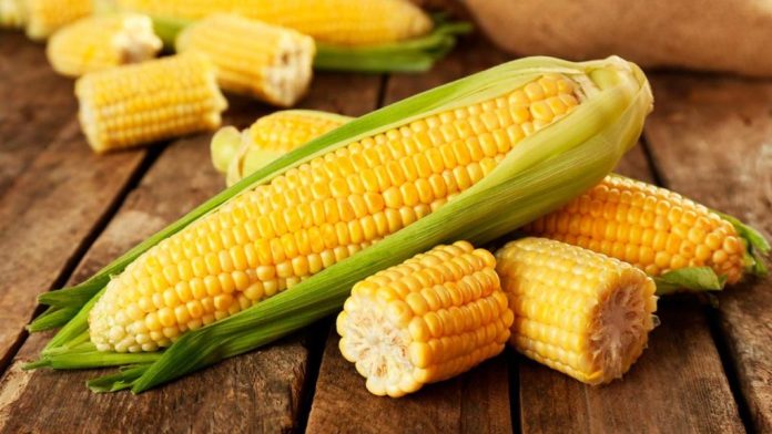 Is Corn Flour Truly Gluten-Free