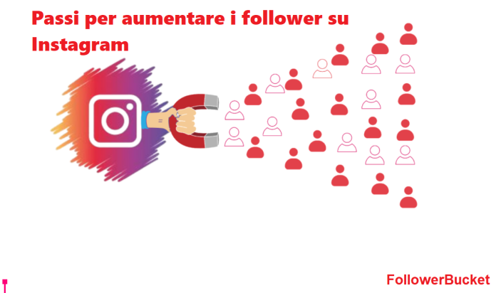 Passi per aumentare i follower su Instagram
