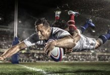 Rugby World Cup in the spotlight