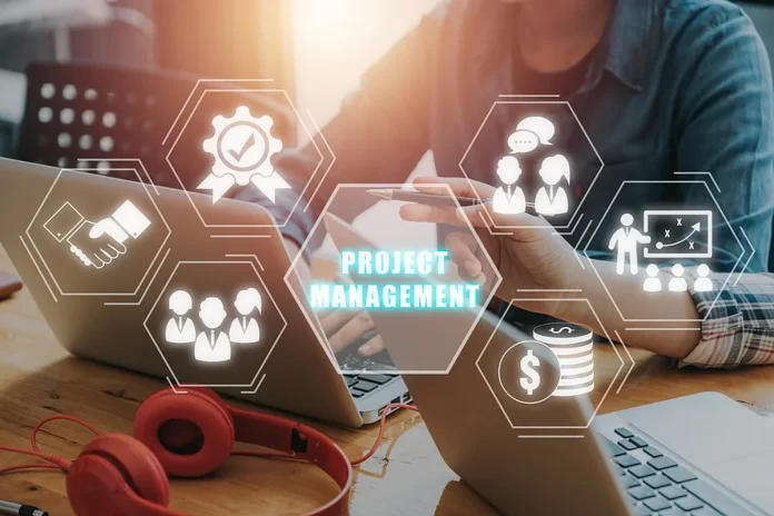 project managers