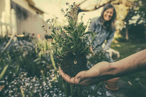 Gardening Gardening