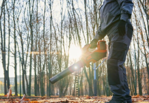 5 Tips for Landscape Maintenance that you must know Landscape