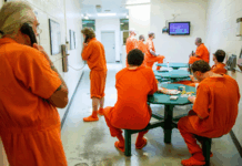 5 Essential Benefits of Using Inmate Search Tool Inmate Search