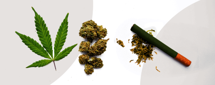 Infused Pre Rolls Infused Pre Rolls